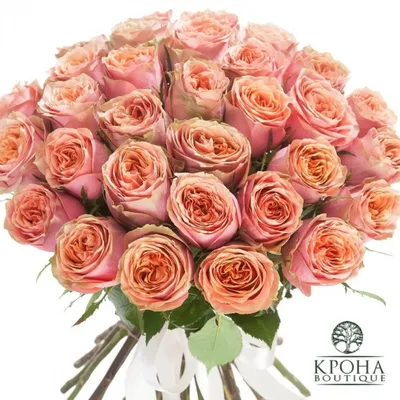 Купить сортовые розы за 200 рублей в Ижевске с доставкой