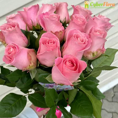 Купить Красные сортовые розы №160 в Москве недорого с доставкой