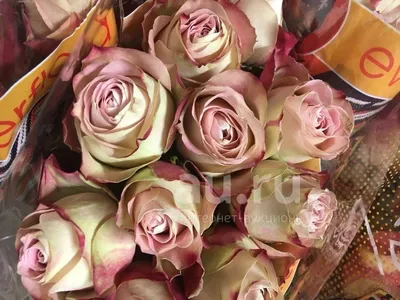 Букет из 7 сортовых кенийских роз с зеленью - Доставкой цветов в Москве!  42923 товаров! Цены от 487 руб. Цветы Тут