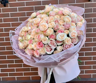Сортовые чайные и плетистых розы с приятным запахом разных расцветок: 50  000 сум - Сад / огород Ташкент на Olx
