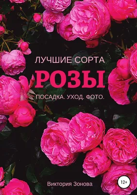 15 роз Гоча, артикул: 333003504, с доставкой в город Дмитров