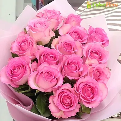 Букет из 15 розовых роз: цена, заказать с доставкой по Чухломе в  интернет-магазине Cyber Flora®