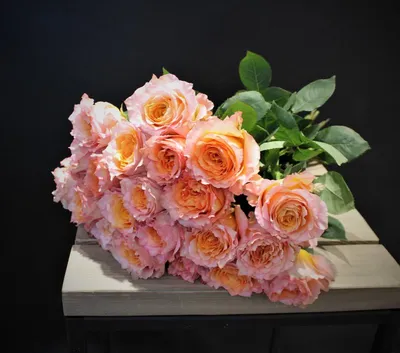 Что означает цвет роз: белые, желтые, розовые, оранжевые — и их количество  в букете