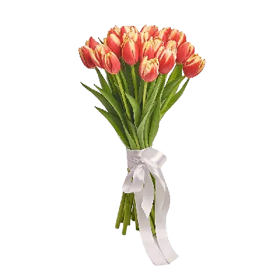 Тюльпаны сортовые (ID#680313), купить на Deal.by