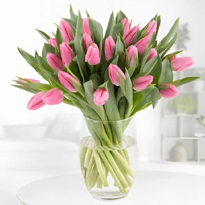31 розовый тюльпан Сортовые тюльпаны - купить с доставкой в Москве,  AzaliaNow