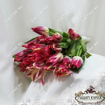 Букет тюльпанов «Шепот мечты» © Цветы60.рф