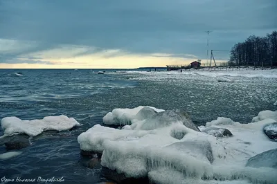 Прогулка в сосновом бору❄️🌲❄️ Сосновый бор зимой великолепен... И в  сумраке, и в ярком солнце дня Снег так порой похож на белый… | Instagram