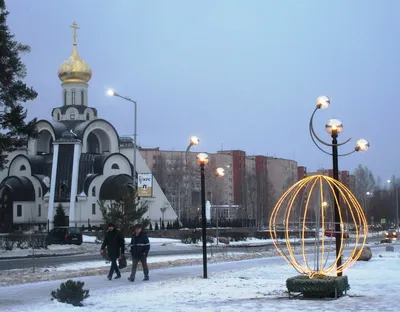 Сосновый бор | Лес, В лес, Зима