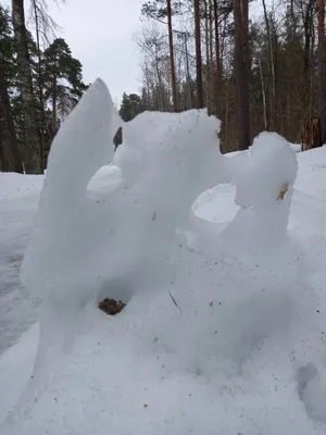 Сосновый бор зимой» — создано в Шедевруме