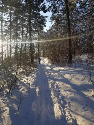 Зима в \"Сосновом Бору\"