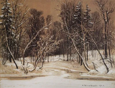 Сосновый лес зимой- вертикали Стоковое Фото - изображение насчитывающей  сосенка, сибирь: 169130364