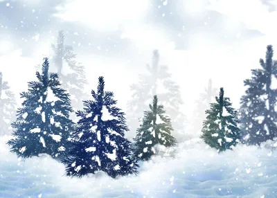 Еловый лес зимой - Шишкин И.И. Подробное описание экспоната, аудиогид,  интересные факты. Официальный сайт Artefact