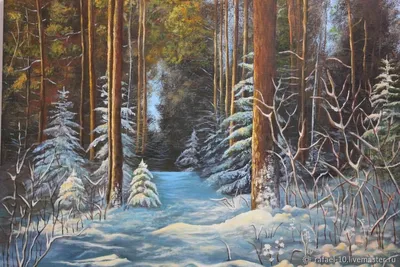 Зимний лес | Зимние сцены, Лес, Пейзажи
