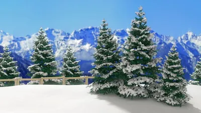 Красивый сосновый лес зимы в России зима белизны снежинок предпосылки  голубая Стоковое Изображение - изображение насчитывающей сценарно,  красивейшее: 137039845