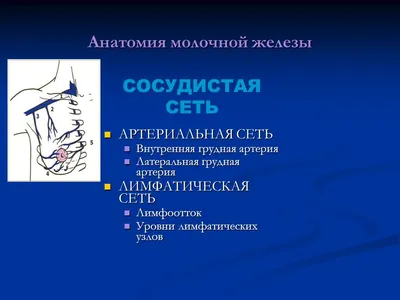 Купероз: что такое, причины, стадии, симптомы, лечение заболевания,  профилактика