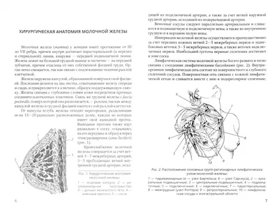 Ультразвуковая диагностика рака молочной железы (часть 1) – УЗИ в  Красноярске