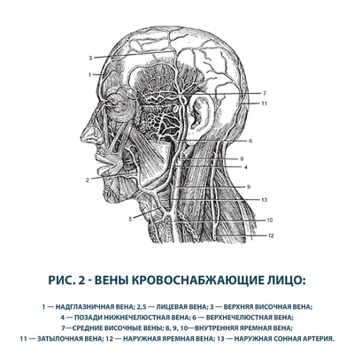 Общие принципы безопасности инъекций в область лица