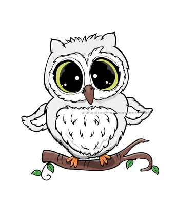 Сова карандашом owl in pencil | Рисунок совы, Рисунки, Рисунки животных