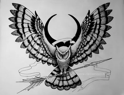 Как нарисовать сову карандашом поэтапно легко и красиво