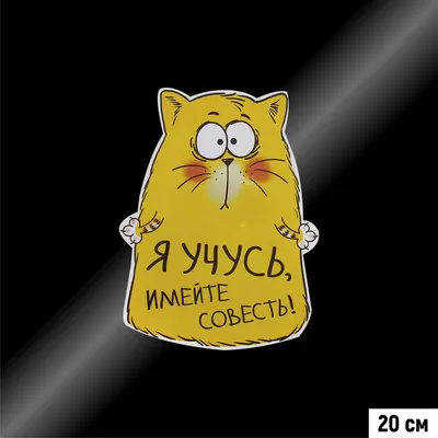 О совести. Совесть и чувство вины никак не связаны! | Свет осознанности |  Дзен