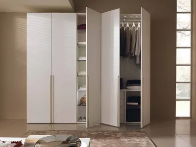 Распашные шкафы под заказ в Москве по индивидуальным размерам — Фабрика  мебели «Мебиус»