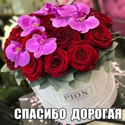 🌷СПАСИБО ТЕБЕ ДОРОГАЯ ПОДРУГА 🌷 САМАЯ КРАСИВАЯ ОТКРЫТКА ДЛЯ ПОДРУГИ🌷  МУЗЫКАЛЬНАЯ ОТКРЫТКА ЦВЕТЫ🌷 - YouTube