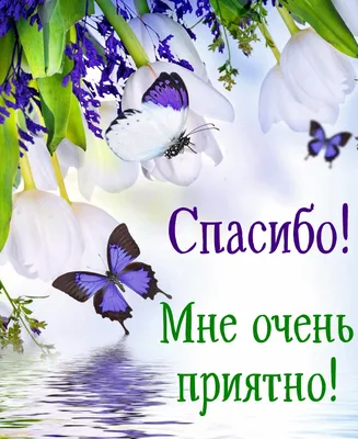 Мужчина моей мечты найден - всем спасибо, все свободны коврик для мыши  прямоугольный (цвет: белый) | Все футболки интернет магазин футболок.  Дизайнерские футболки, футболки The Mountain, Yakuza, Liquid Blue