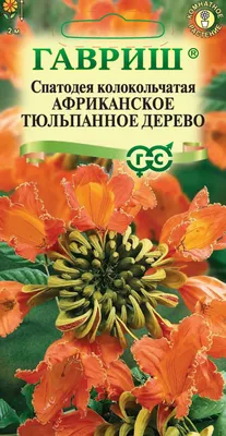 ✓ Семена Спатодея Африканское тюльпанное дерево, 0,05г, Гавриш, Цветочная  коллекция по цене 40 руб. ◈ Большой выбор ◈ Купить по всей России ✓  Интернет-магазин Гавриш ☎ 8-495-902-77-18