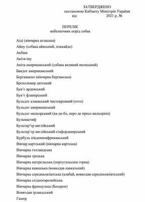 Самые популярные породы собак в России - Газета.Ru