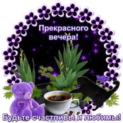 Спокойного, доброго вечера🌺💐🌺💐🌺#вечер #добрыйвечер | TikTok