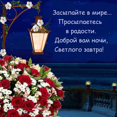 Хочу Всё Знать - Спокойной ночи, друзья! До завтра! | Facebook