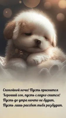 Спокойной ночи до завтра (21 лучших фото)