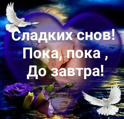 Картинка - Спокойной ночи... до завтра!.