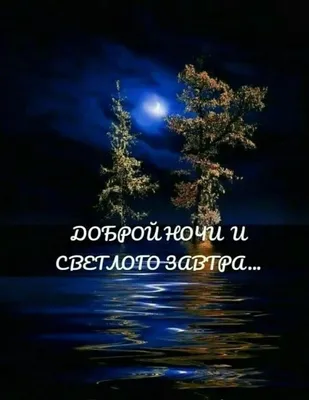 Пока, до завтра! Сладких снов! - Спокойной ночи добрые открытки