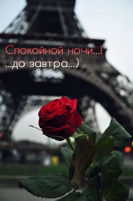 Спокойной ночи до завтра