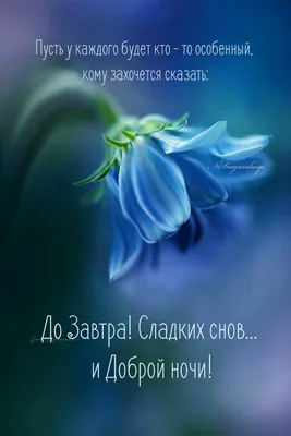 Спокойной ночи, до завтра - анимационные картинки - гиф открытки