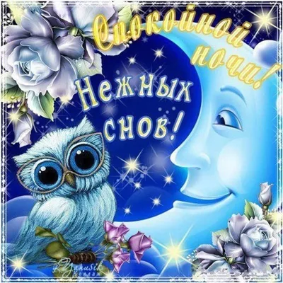 Доброй ночи, дорогие подписчики