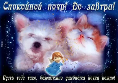 Пожелания | Ночь, Счастливые картинки, Спокойной ночи