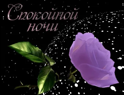 Картинки с надписью - Доброго вечера! Спокойной ночи! До завтра...!.