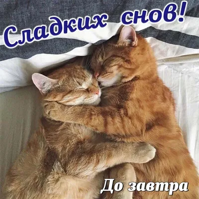 Доброй ночи 🌠💫🌠💫🌠💫#до завтра💫🌠💫🌠💫🌠# | TikTok