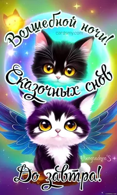 Спокойной ночи Картинки и Открытки красивые