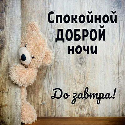 Спокойной ночи, завтра увидимся | Ночь, Спокойной ночи, Гифу