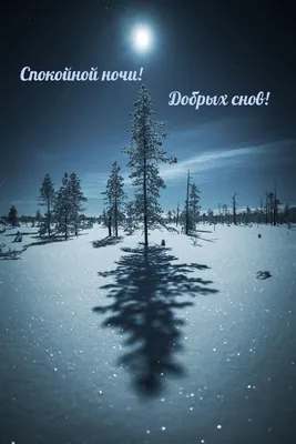 Гармония - 💖💖💖 ДОБРОЙ НОЧИ!!! ДОБРЫХ,НЕЖНЫХ СНОВ!!! ДО... | Facebook