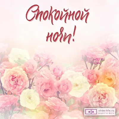 Открытка спокойной ночи с розой — Slide-Life.ru