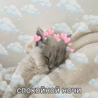 Картинка: Спокойной ночи, любимая! Добрых снов, мой котенок!