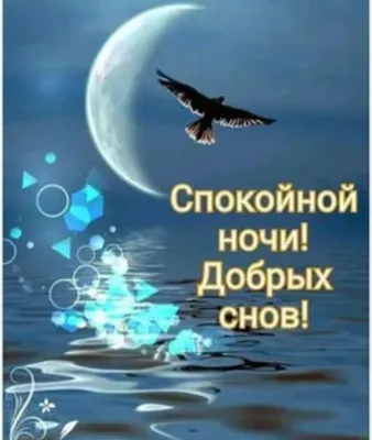 а где спокойной ночи сладких снов?( | Смешные мемы, Милые тексты, Милые  сообщения