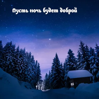 Спокойной зимней ночи» — создано в Шедевруме