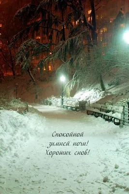 Красивые открытки \"Спокойной зимней ночи!\" (285 шт.)