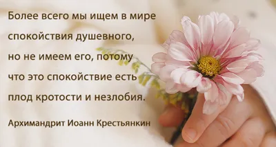 Спокойствие, только спокойствие: как избавиться от стресса | «Аист на крыше»