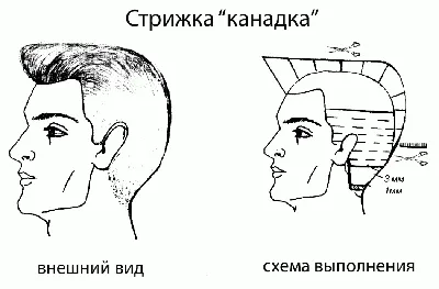Канадка Мужская Стрижка Фото Спортивная Для Мальчика